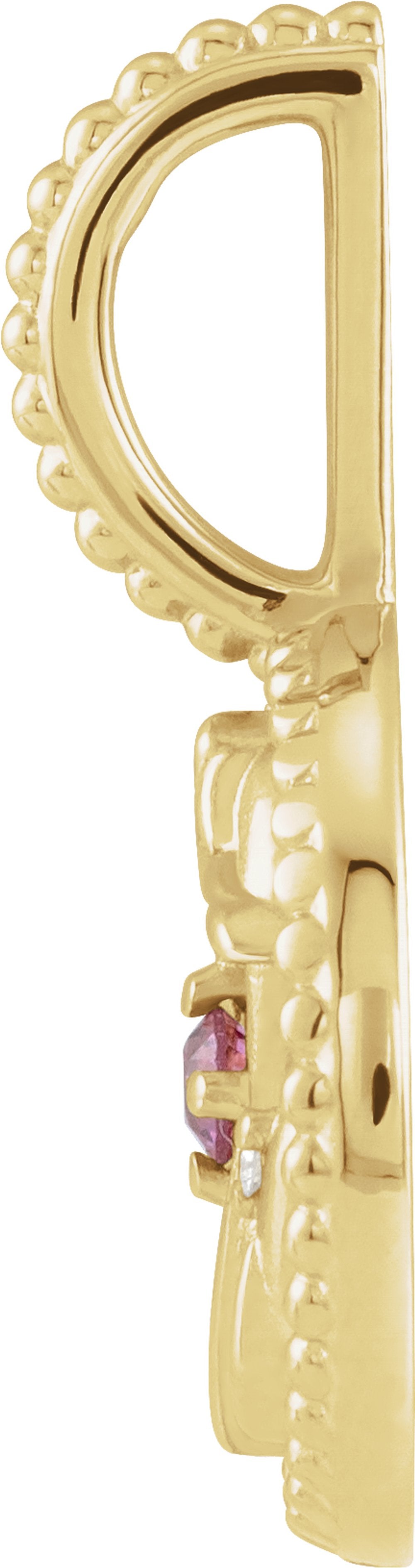 14K Yellow Gold Natural Rhodolite Garnet & .005 CTW Natural Diamond Pisces Charm/Pendant