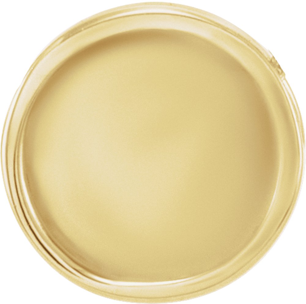 14K Yellow Gold 10 mm Engravable Disc Slide Pendant
