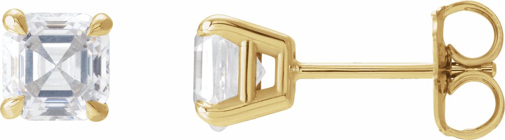 14K Yellow Gold 5/8 CTW Natural Diamond Earrings