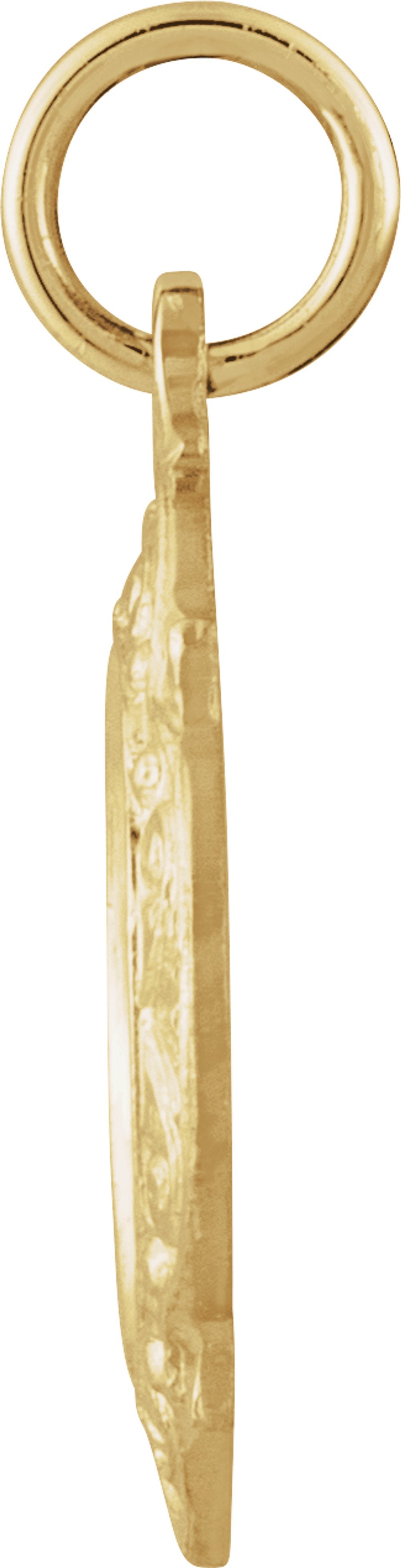 14K Yellow 12 mm Scapular Medal
