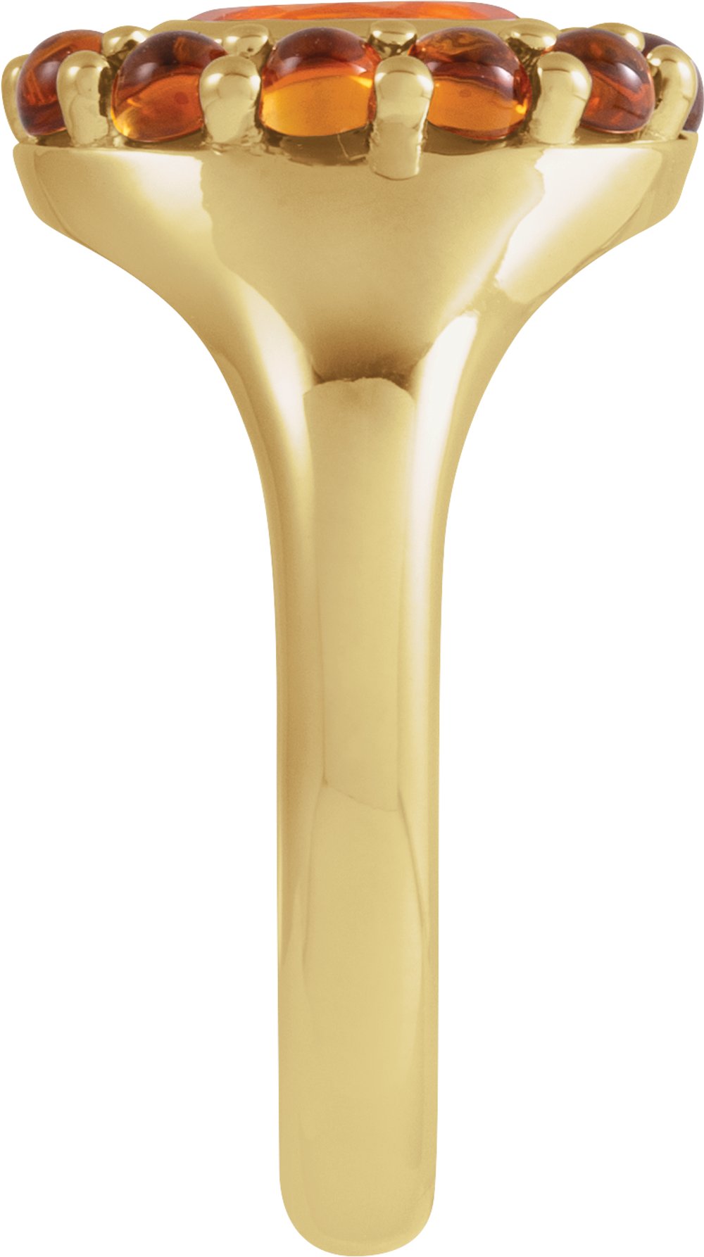 14K Yellow Natural Mexican Fire Opal & Natural Citrine Halo-Style Ring