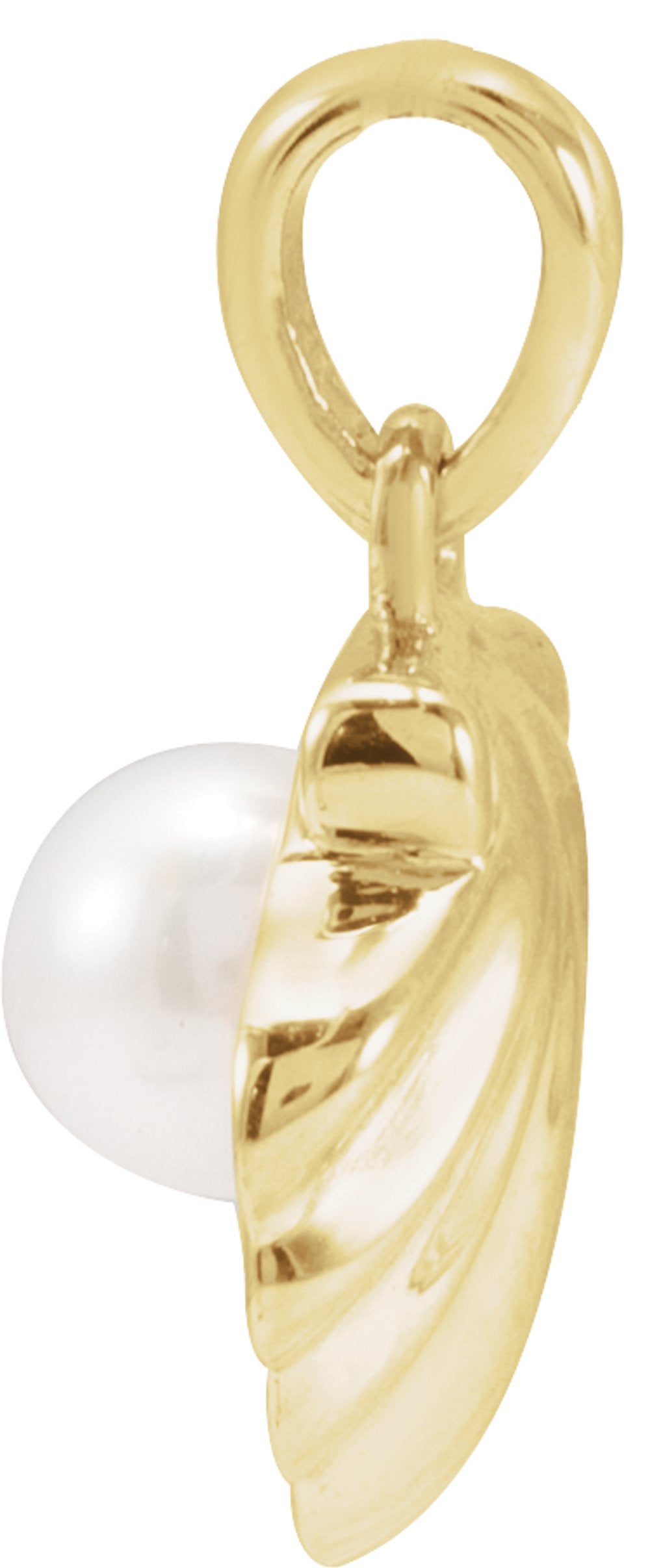 14K Yellow Gold Cultured White Freshwater Pearl Shell Charm/Pendant