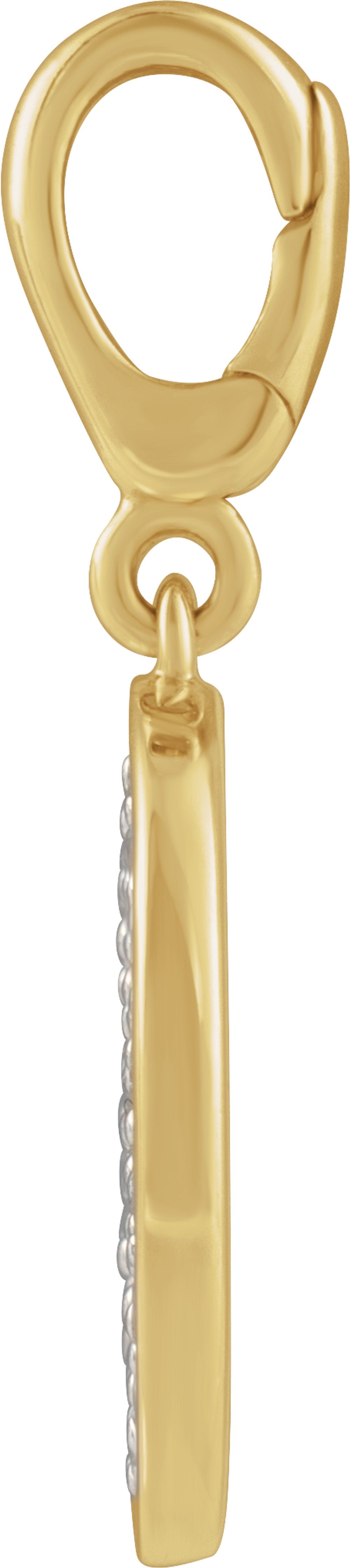 14K Yellow Gold 1/2 CTW Natural Diamond Pavé-Style Disc Charm/Pendant