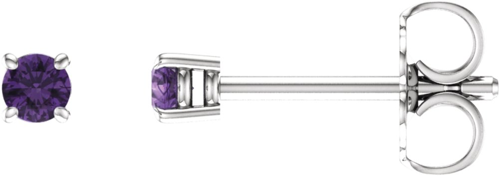 14K White 2.5 mm Natural Amethyst Earrings