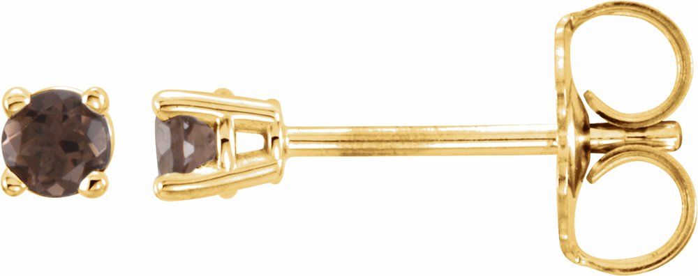 14K Yellow 2.5 mm Natural Smoky Quartz Earrings