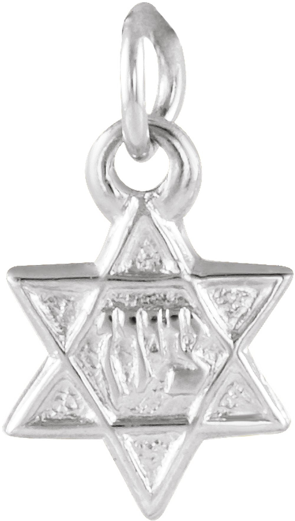 14K White 7.5x7 mm Star of David Pendant