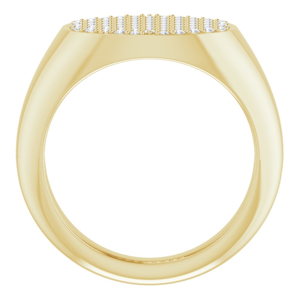 14K Yellow Gold 1/4 CTW Natural Diamond Signet Ring