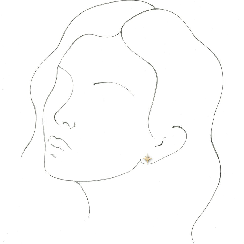 14K Yellow Gold .03 CTW Natural Diamond Star Earrings