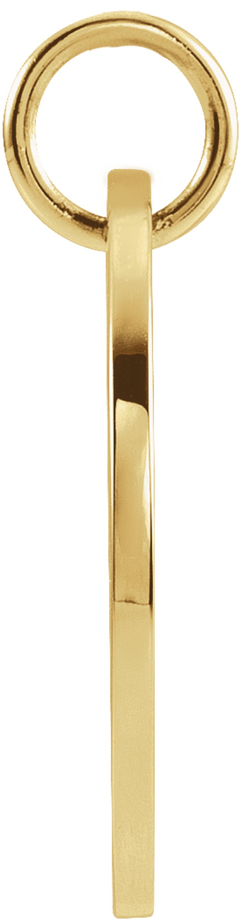 14K Yellow 16.5 mm Pisces Zodiac Disc Charm/Pendant