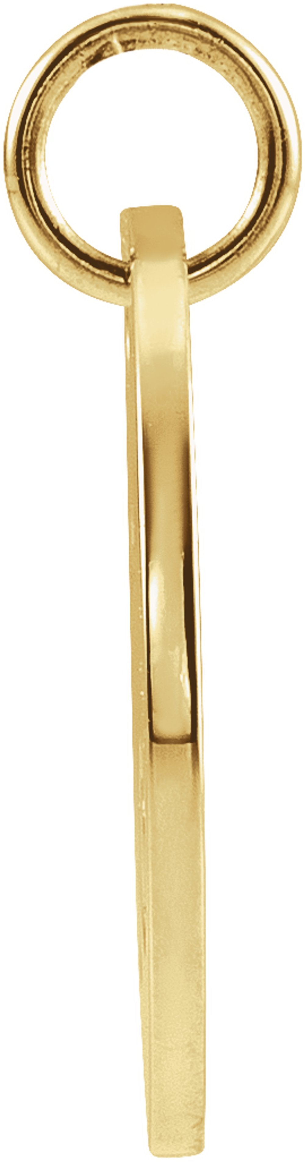 14K Yellow Gold 16.5 mm Capricorn Zodiac Disc Charm/Pendant