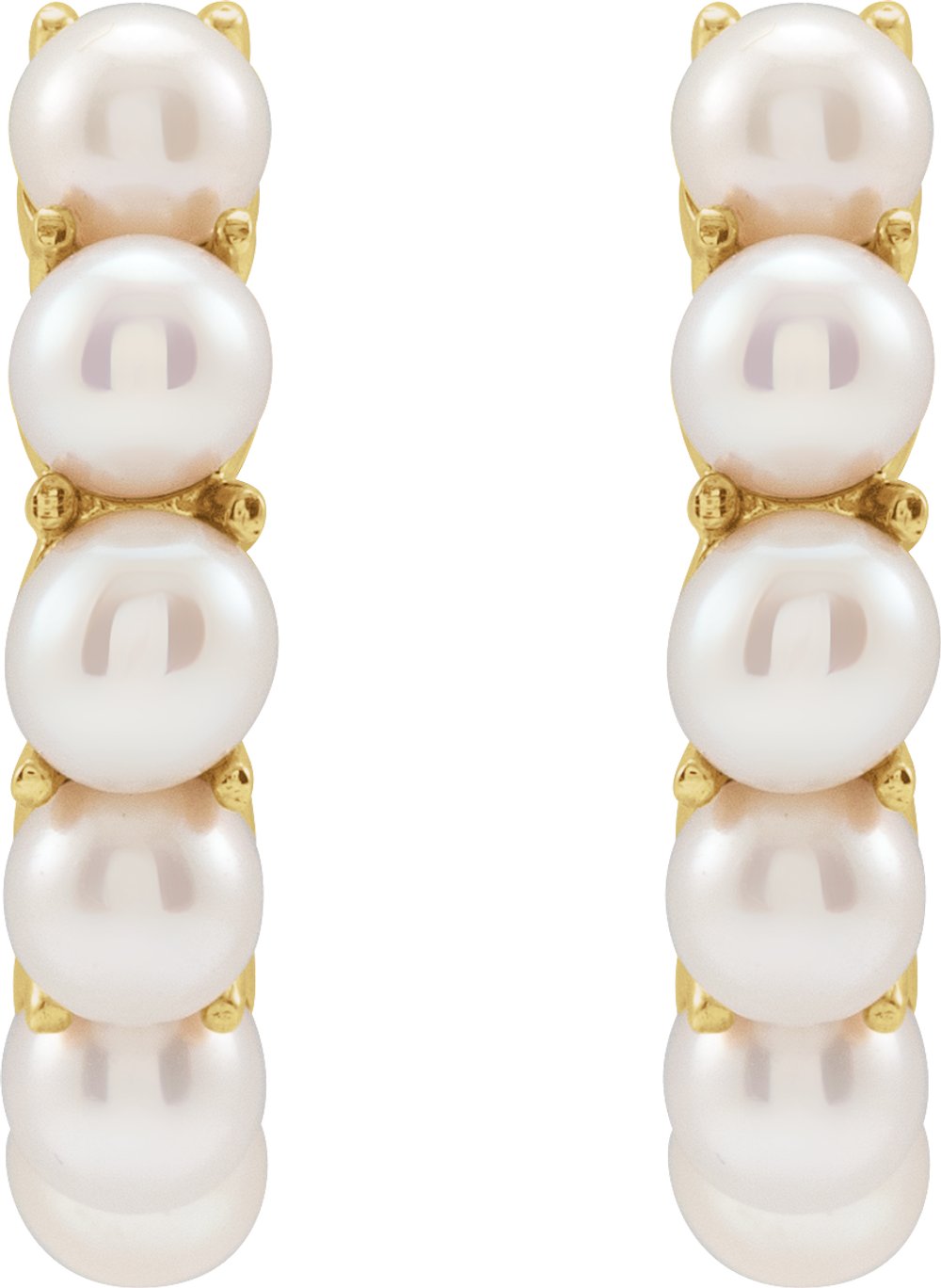 14K Yellow Gold Cultured White Freshwater Pearl 15.5 mm Huggie Hoop Earrings