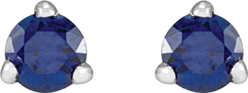 Platinum 3 mm Natural Blue Sapphire Earrings