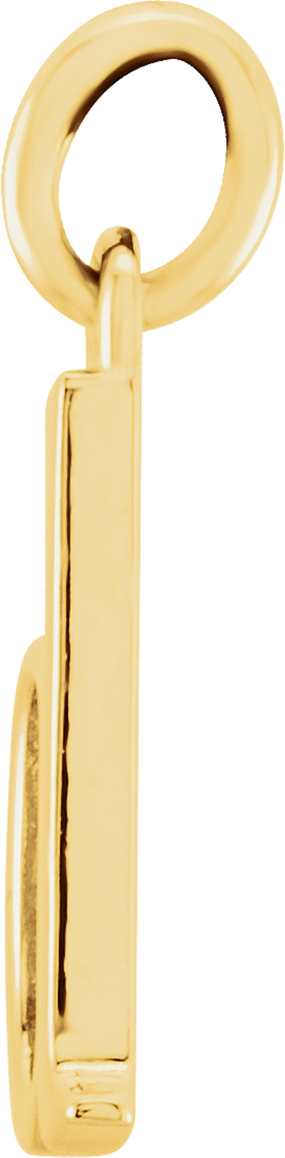 14K Yellow Gold Lowercase Initial d Charm/Pendant