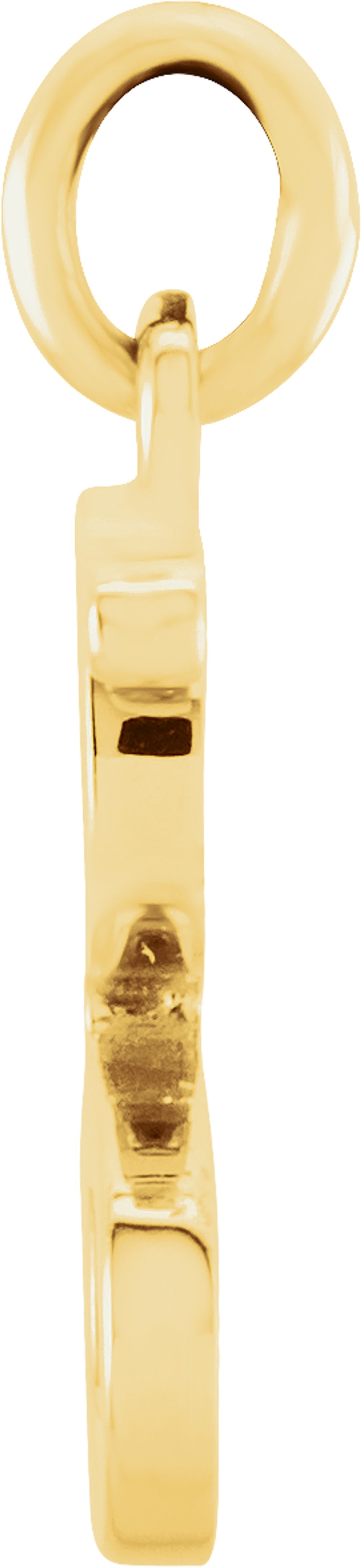 14K Yellow Gold Lowercase Initial g Charm/Pendant