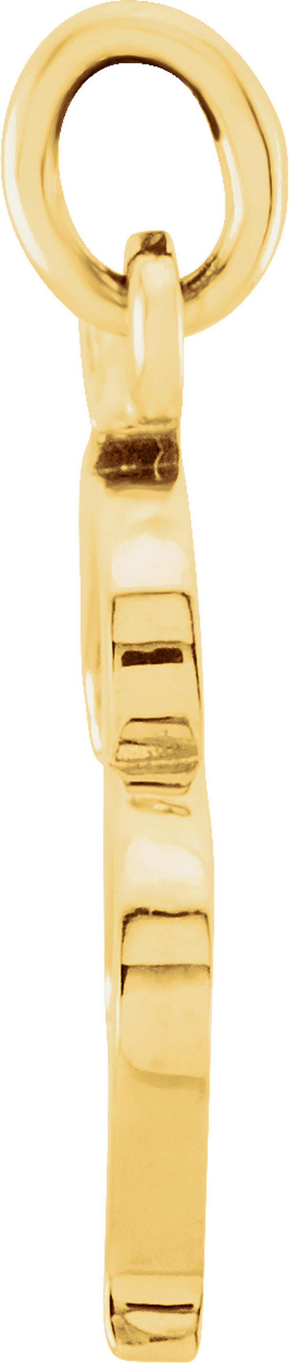 14K Yellow Gold Lowercase Initial m Charm/Pendant