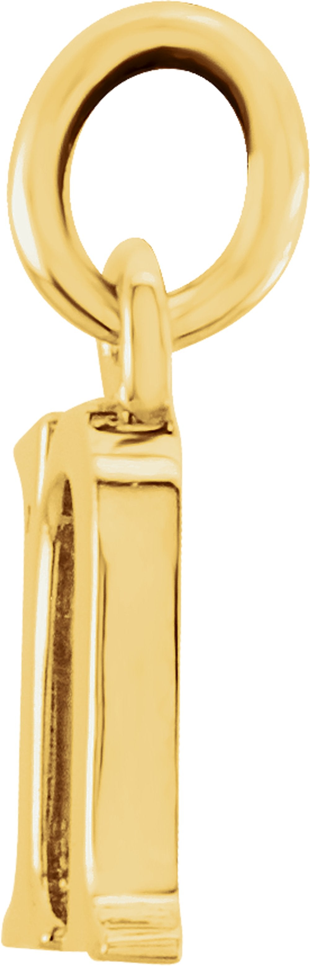 14K Yellow Gold Lowercase Initial n Charm/Pendant