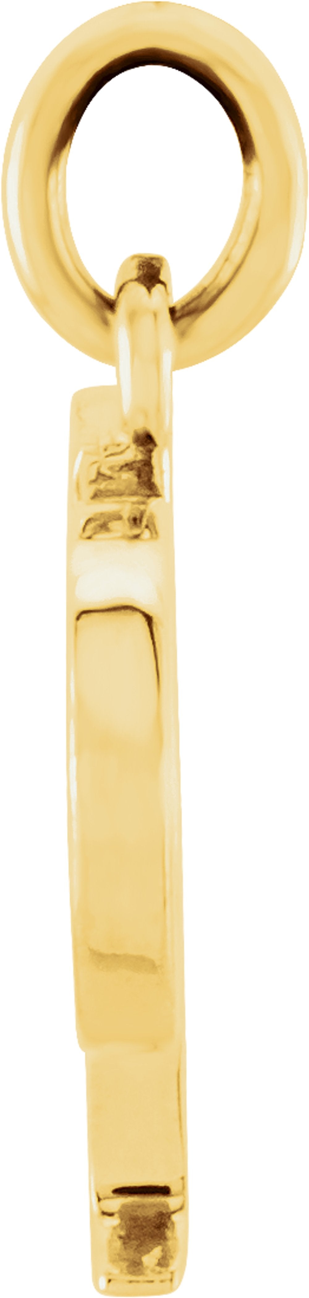 14K Yellow Gold Lowercase Initial p Charm/Pendant