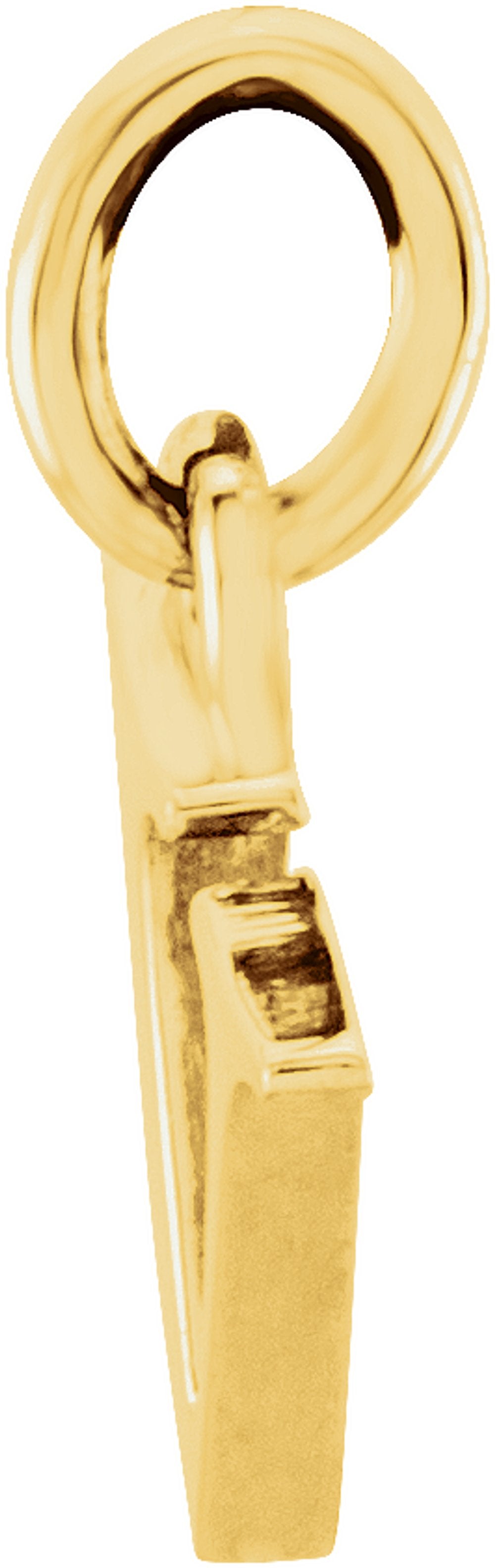 14K Yellow Gold Lowercase Initial v Charm/Pendant
