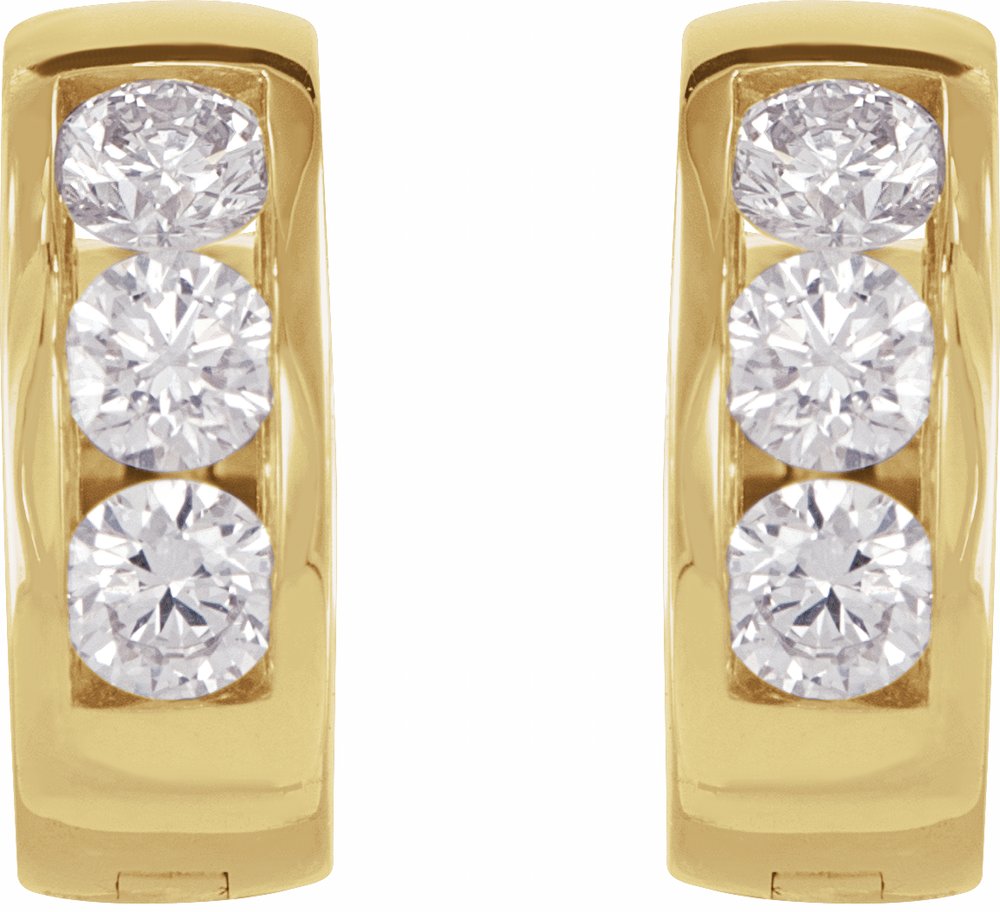 14K Yellow Gold 1/3 CTW Natural Diamond 10 mm Hinged Hoop Earrings