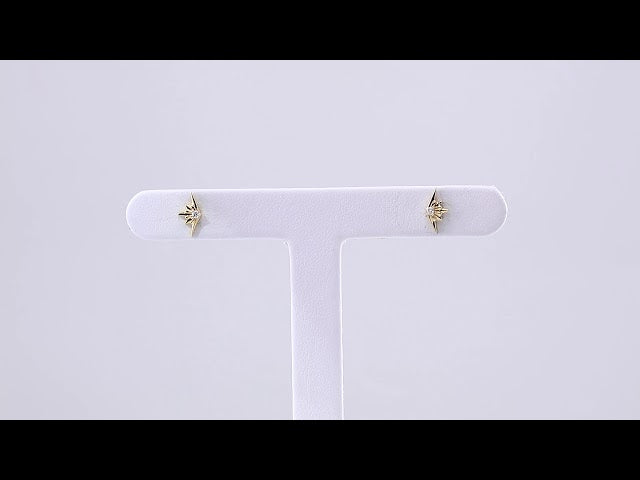 14K Yellow Gold .03 CTW Natural Diamond Starburst Earrings