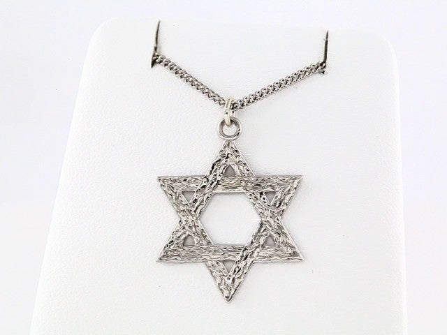 Sterling Silver 25.2x22.7 mm Star of David 18" Necklace