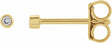 14K Yellow Gold .03 CTW Natural Diamond Micro Bezel-Set Earrings