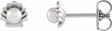 Sterling Silver Cultured White Seed Pearl Shell Earrings