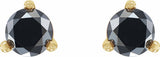 14K Yellow 1/3 CTW Natural Black Diamond  Earrings