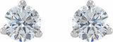 14K White 1/2 CTW Lab-Grown Diamond  Earrings