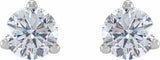 14K White 1/2 CTW Lab-Grown Diamond  Earrings