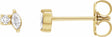 14K Yellow Gold .08 CTW Natural Diamond Earrings