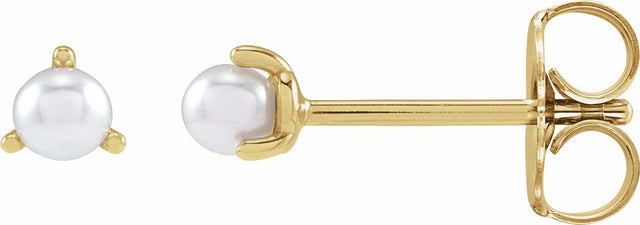 14K Yellow Gold 2 mm Cultured White Seed Pearl Earrings