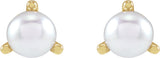 14K Yellow 2.5 mm Cultured White Seed Pearl Earrings