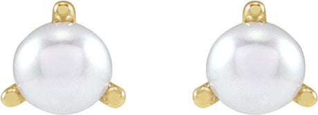 14K Yellow 2.5 mm Cultured White Seed Pearl Earrings