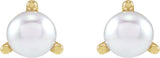 14K Yellow Gold 3.5 mm Cultured White Seed Pearl Earrings