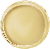14K Yellow Gold 10 mm Engravable Disc Slide Pendant