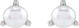 Sterling Silver 3.5 mm Cultured White Seed Pearl Earrings