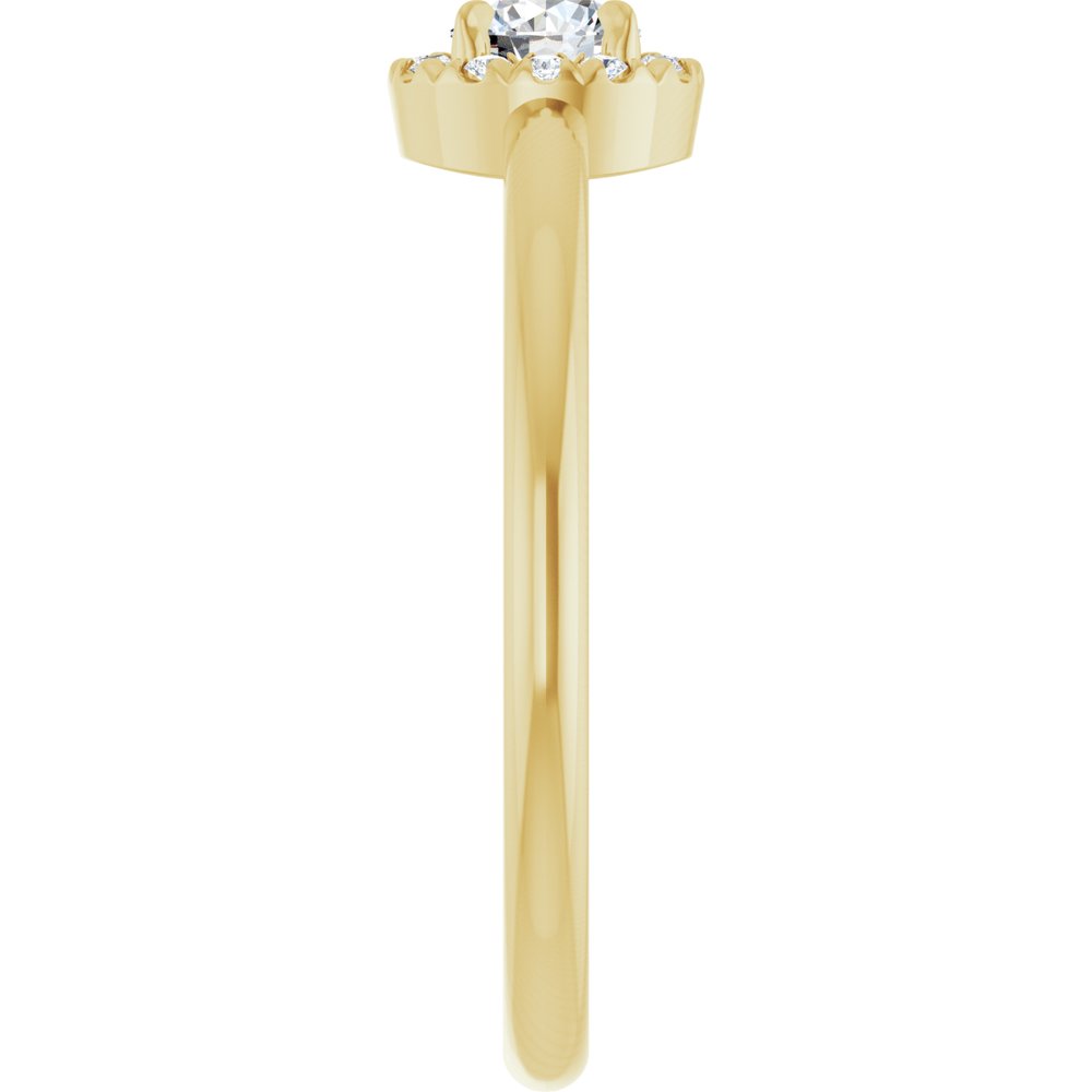 14K Yellow 1/4 CTW Natural Diamond French-Set Halo-Style Ring