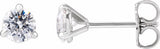 14K White Gold 3/4 CTW Lab-Grown Diamond Cocktail-Style Stud Earrings