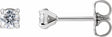 14K White Gold 1/4 CTW Lab-Grown Diamond Cocktail-Style Stud Earrings