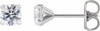 14K White Gold 3/4 CTW Lab-Grown Diamond Cocktail-Style Stud Earrings