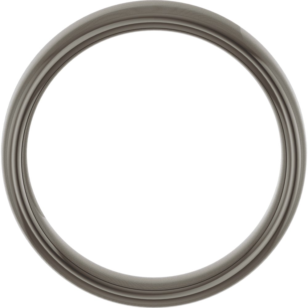 Titanium 6 mm Comfort-Fit Standard Weight European-Style Band Size 8