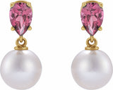 14K Yellow Cultured White Akoya Pearl & Natural Pink Tourmaline Earrings