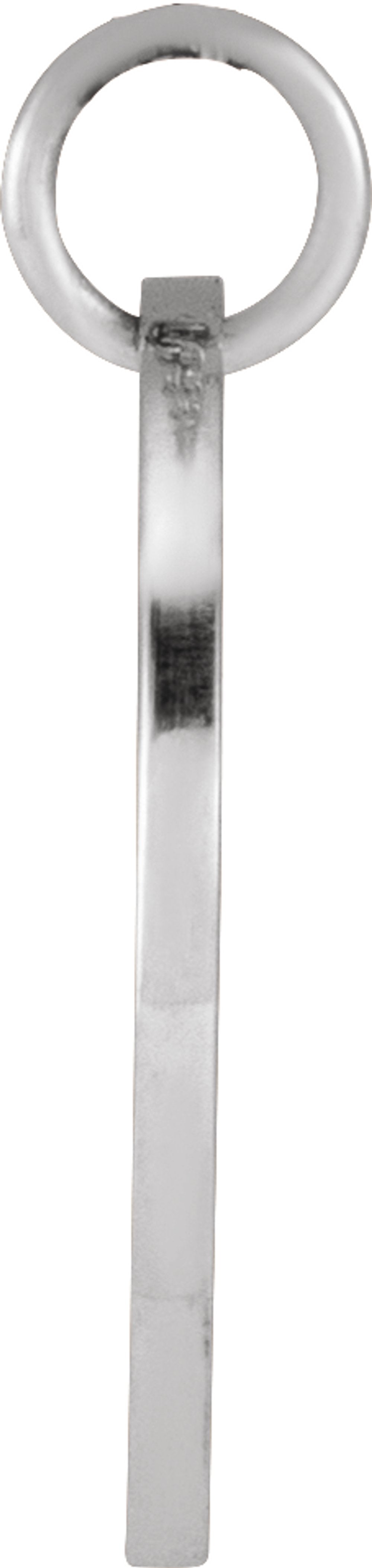 Sterling Silver Rose June Birth Flower Pendant