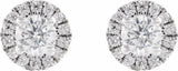 14K White Gold 1/2 CTW Lab-Grown Diamond Cocktail-Style Stud Earrings