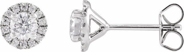 14K White Gold 3/4 CTW Lab-Grown Diamond Cocktail-Style Stud Earrings