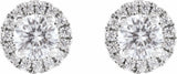 14K White Gold 3/4 CTW Lab-Grown Diamond Cocktail-Style Stud Earrings