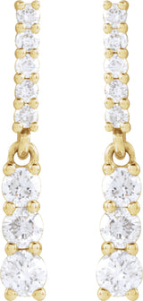 14K Yellow Gold 1/4 CTW Natural Diamond Dangle Earrings