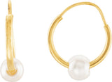 14K Yellow Cultured White Freshwater Pearl Hoop Earrings