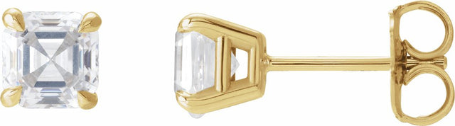 14K Yellow Gold 5/8 CTW Natural Diamond Earrings